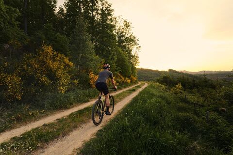 Gravelbike