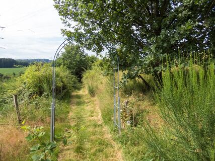 Dornröschenweg bei Arpe