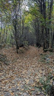 Photo de marcoplo1722 le long du parcours