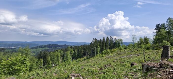 Zdjęcie z Karin-Wandert wzdłuż trasy