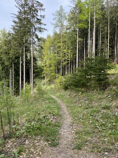 Foto från eva_mountaininlove under resans gång