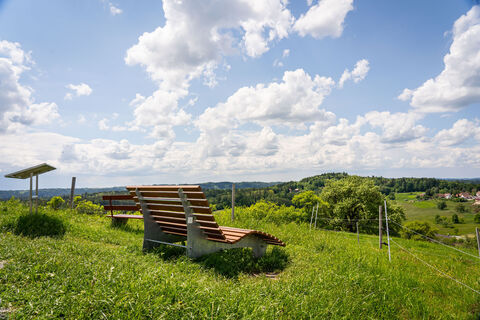 Ruheliege am Aussichtspunkt "Hohe Tanne"