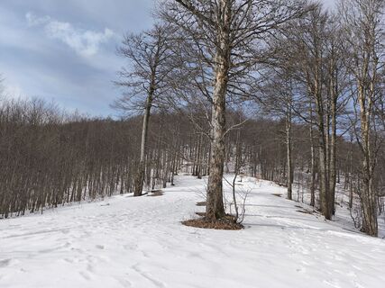 Foto de Marko Bešter a lo largo del recorrido