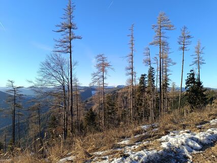 Photo de Matze Sp. le long du parcours