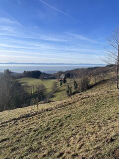 Fotografia z Günter Goldschmidt na trase