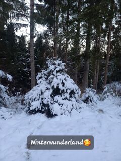 Zdjęcie z Gabi Wurzer wzdłuż trasy