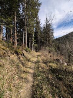 Foto von Floppy 1 entlang der Tour
