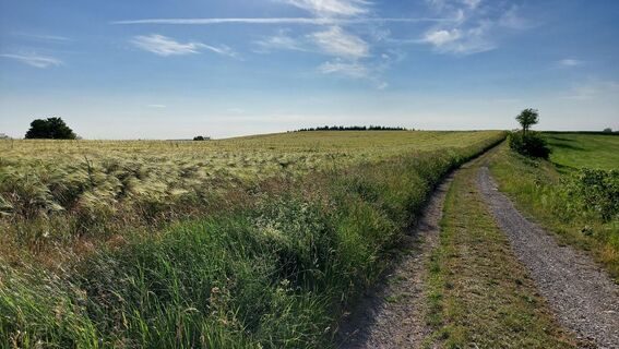 Foto von Wollomator entlang der Tour