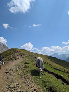 Foto de Nikita Schulz a lo largo del recorrido