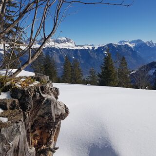 Schneeschuhtrail Prodalp-Panüöl
