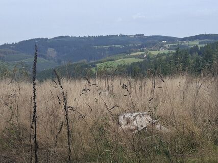 Photo de Georg Meisterjahn le long du parcours