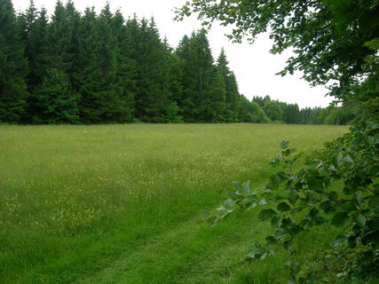 Staufenberg-Weg