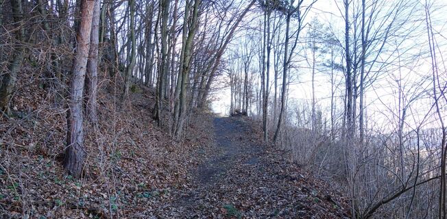 Aufstieg am Jankerlweg