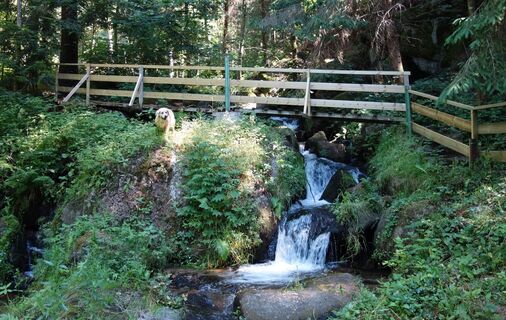 Loseneggerklamm am Kneippweg in St. Oswald