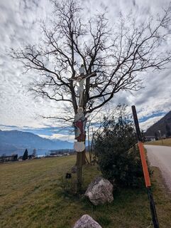Fotografija s spletne strani H&M na poti