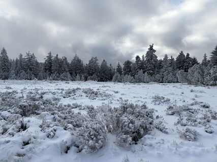 Zdjęcie z Dominik wzdłuż trasy