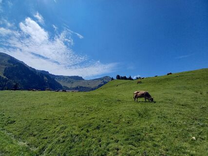Foto von Matthias Zimmermann entlang der Tour