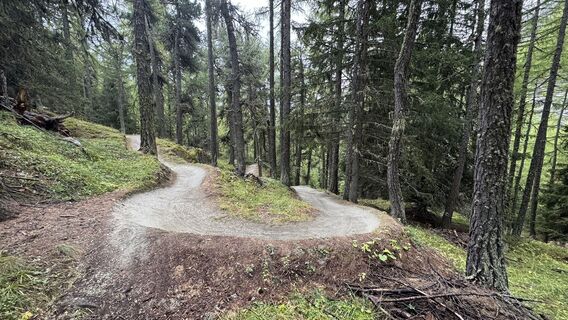 Foto da peter_oe lungo il tour