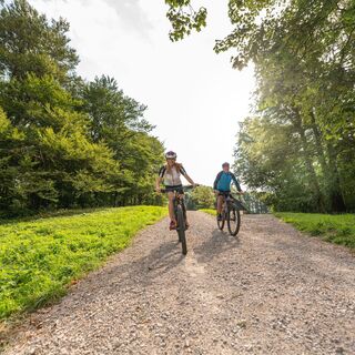 MTB Wienerwald