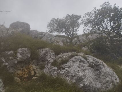 Kalnik, Hrvatska