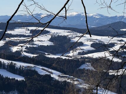 Foto de Richard Huber a lo largo del recorrido