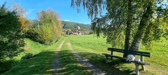 Foto fra Friedrich Bauer 1 underveis på turen