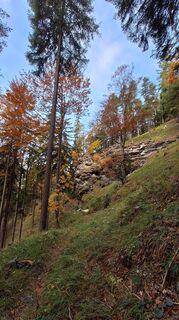 Photo de Susi Puhl le long du parcours
