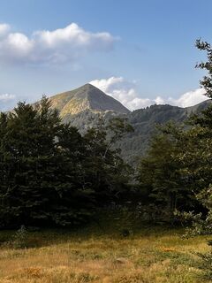 Fotografie z Nicola Florini na trase