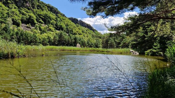 Zdjęcie z fschwarzenberger wzdłuż trasy