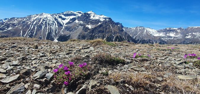 Foto von Babsi Tschabitscher entlang der Tour