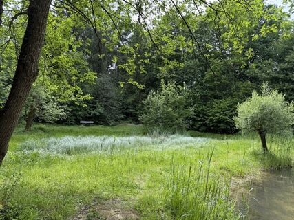 Photo de Astrid le long du parcours