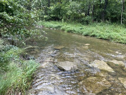 Foto von Amiks entlang der Tour