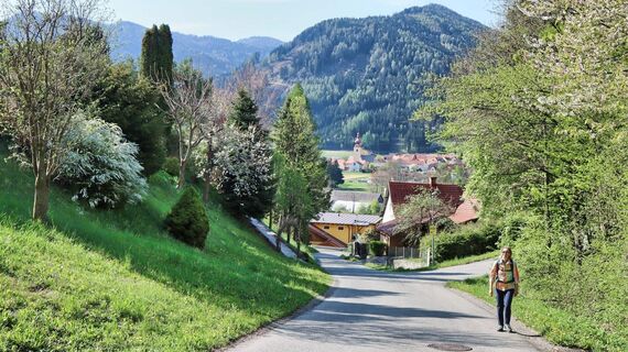 Wir wandern von der Ortschaft St. Georgen weg