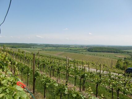 Ausblick vom Schönenberg Hohenhaslach