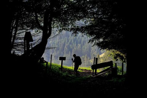 Unterwegs im Naturpark Almenland