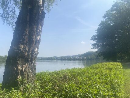 Fotografija s spletne strani Babita na poti