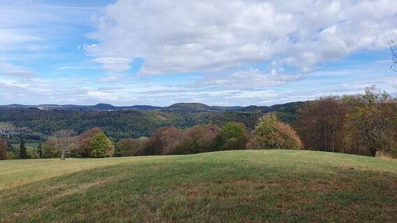 Photo de Anne Wildbrett le long du parcours