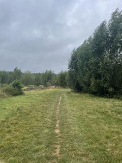 Photo de Leen Duytschaevers le long du parcours