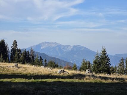Foto von TwilightTea entlang der Tour