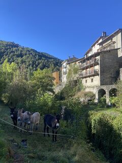 Photo de Bestien Mangano le long du parcours