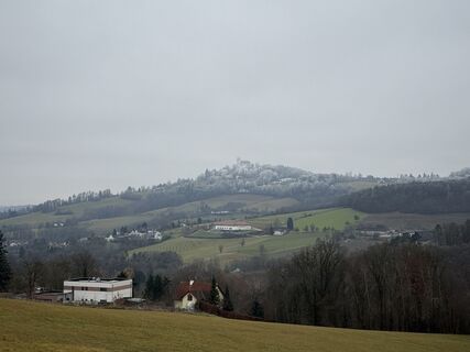 Foto de Wilson Holz a lo largo del recorrido