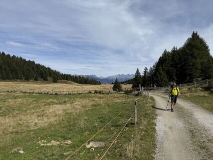 Foto från Frank de Vries under resans gång