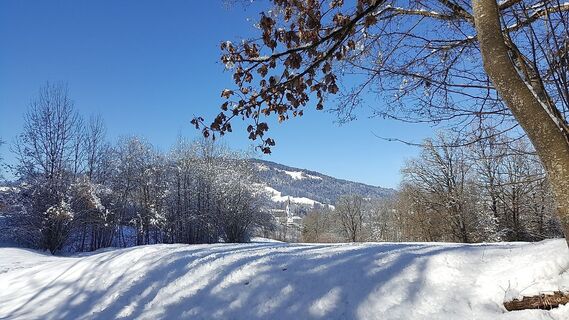 Winter in Egg