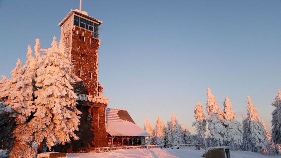 Hornisgrinde-Aussichtsturm im Winterkleid