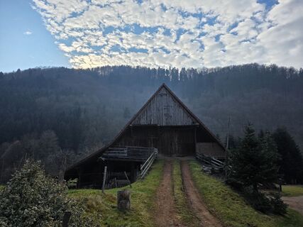 Fotografie z Noreen (NoKe) na trase