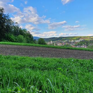 Aussicht auf St. Ruprecht an der Raab_Oststeiermark