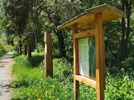 Waldlehrpfad im Paradieswäldli in Ilanz