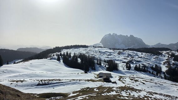 Prostkögerl, Tirol/Österreich