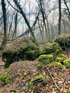 Foto von Kellner Heidi entlang der Tour