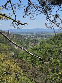 Photo de Prefektionist le long du parcours